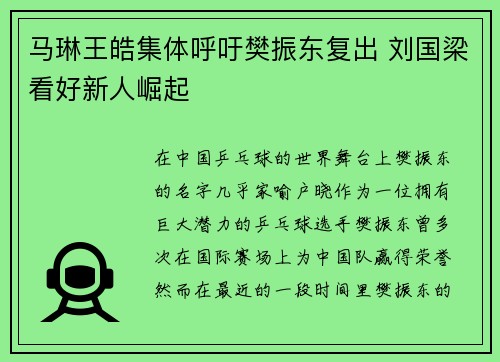 马琳王皓集体呼吁樊振东复出 刘国梁看好新人崛起